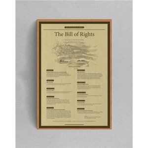The Bill of Rights USA Patriotic Tribute Poster